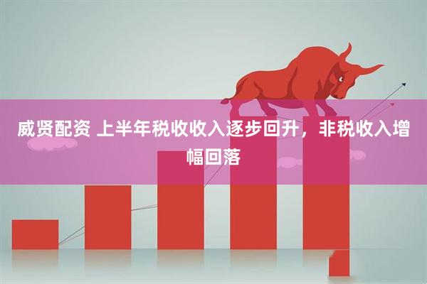 威贤配资 上半年税收收入逐步回升，非税收入增幅回落