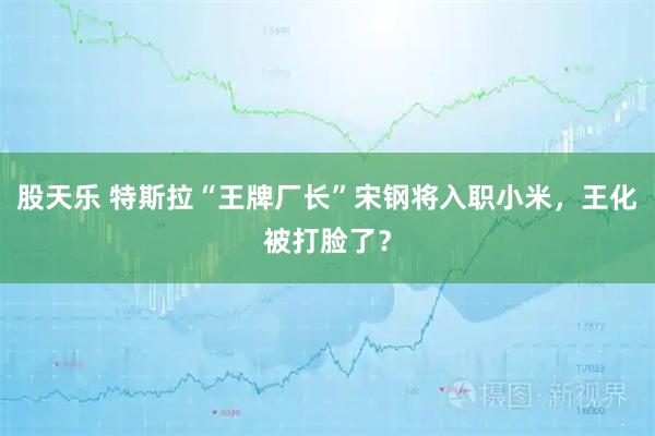 股天乐 特斯拉“王牌厂长”宋钢将入职小米,王化被打脸了?